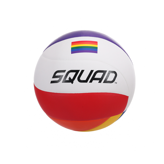 Premium Laminated Volleyball