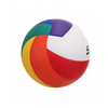 Premium Laminated Volleyball