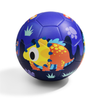 TSB Football