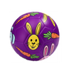 Rabbit soccer ball