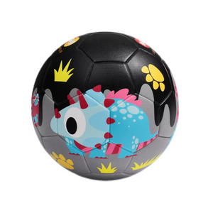 Little Fish Football