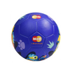 Little Fish Football