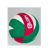 Bonded volleyball 