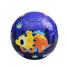 Little Fish Football