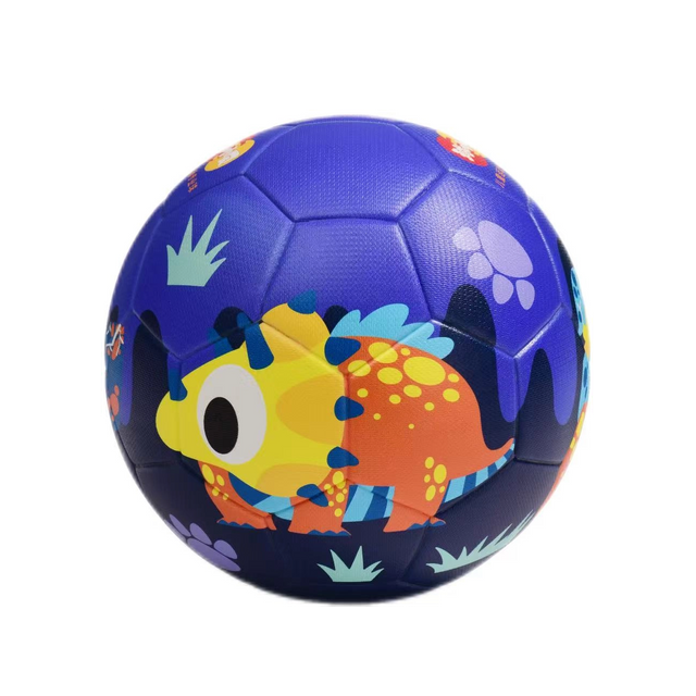 Little Fish Football